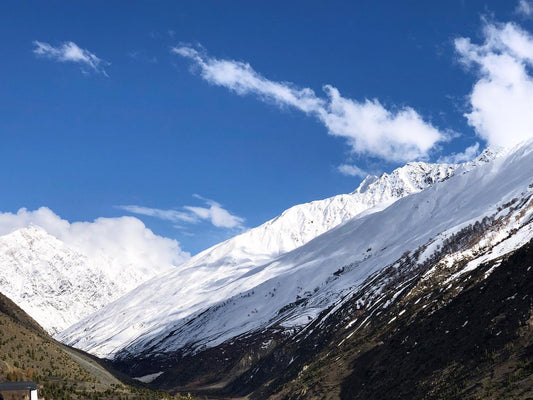 Continental Snow Climates
