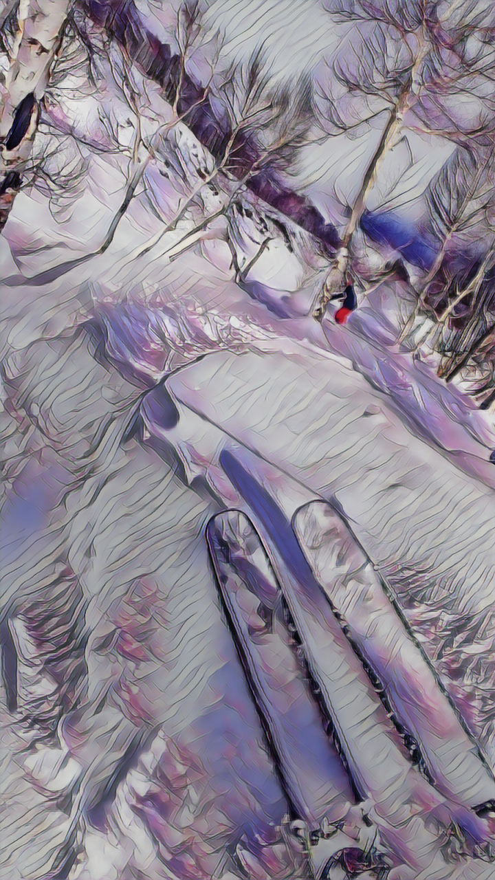 View of Paper tree section at ChairLift in Gulmarg Ski Resort