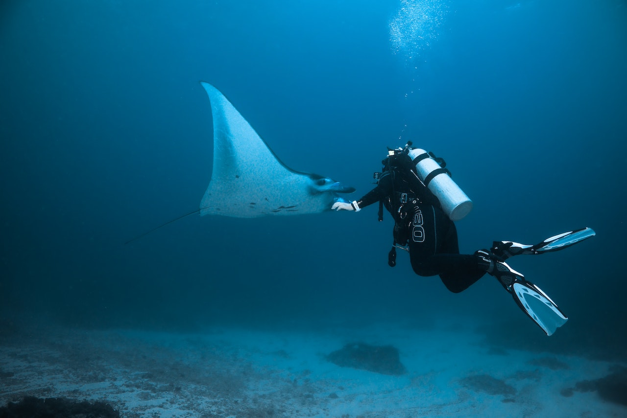 Scuba Diving - BASIC Course