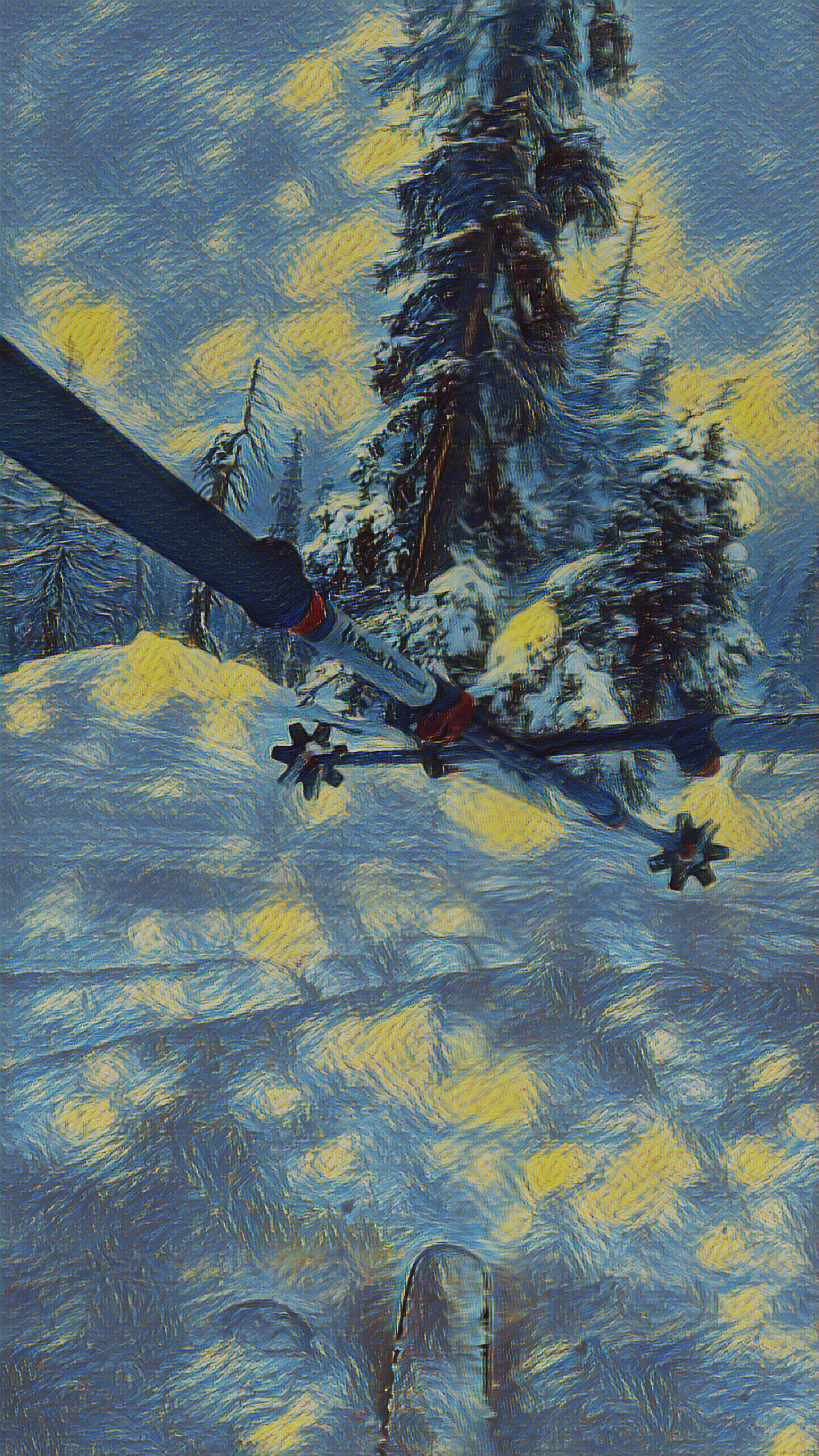 View of the forests at Phase 1 slope in Gulmarg