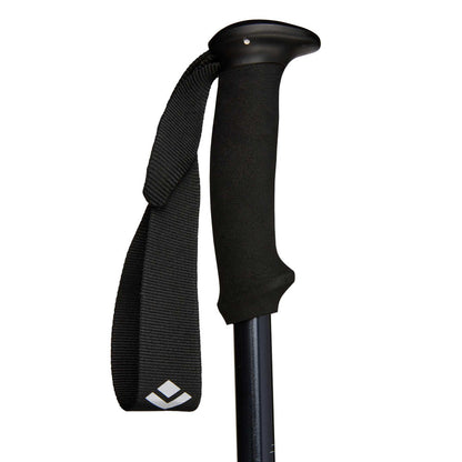 Black Diamond Explorer 2 Trekking Poles