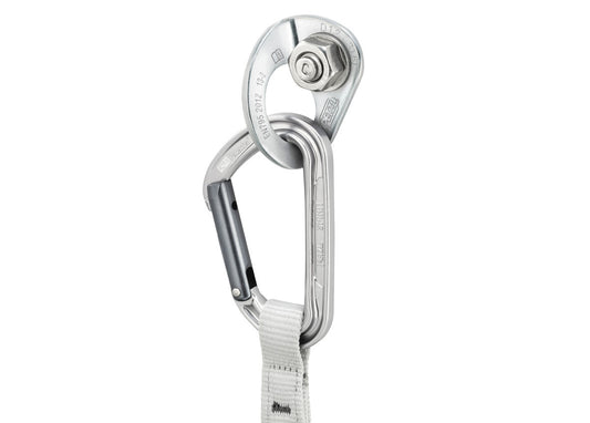 Petzl Coeur Bolt Stainless (Pack of 20)