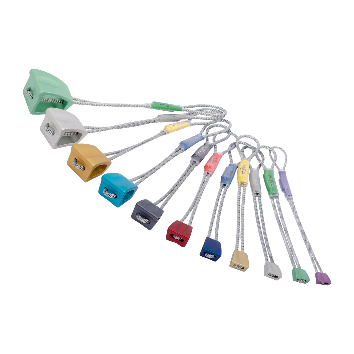 DMM Wallnuts - Set / 2026-11-01 00:00:00