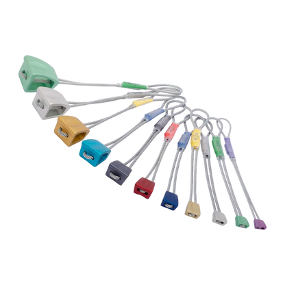 DMM Wallnuts - Set / 2026-11-01 00:00:00